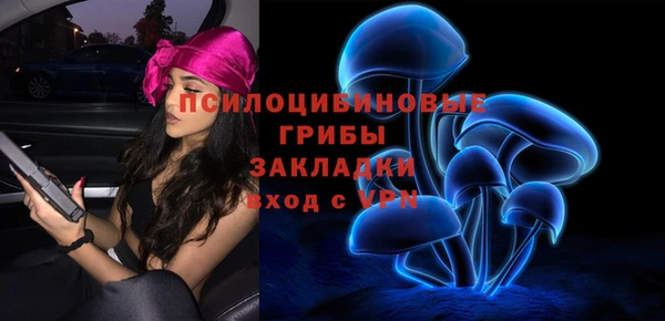 стафф Алзамай