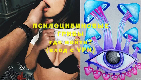 стафф Алзамай