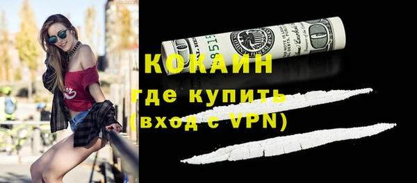 индика Алексеевка