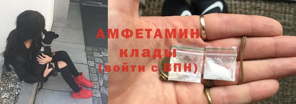 стафф Алзамай