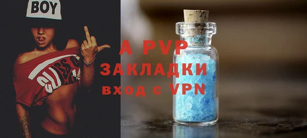 стафф Алзамай