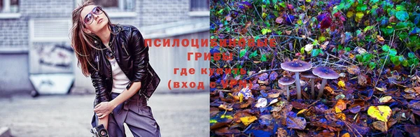 стафф Алзамай