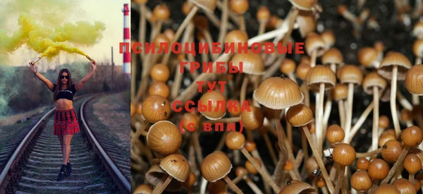 индика Алексеевка